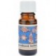 Vonná esence - Perníkové koření - 10 ml - Michal