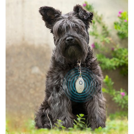 Ultrazvukový odpuzovač parazitů pro domácí mazlíčky PetRep - InnovaGoods