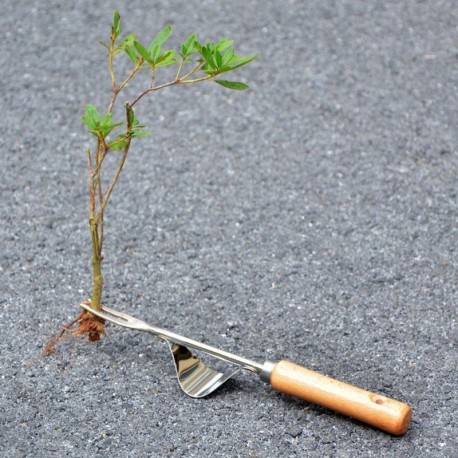 Vytrhávač plevele