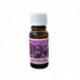 Vonná esence - Mateřídouška - 10 ml - Michal