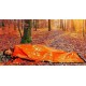 Nouzový termální spací pytel